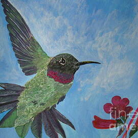 Humming-Bird