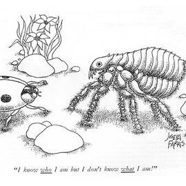 I Know Who I Am But I Don't Know What L Am! by Joseph Farris