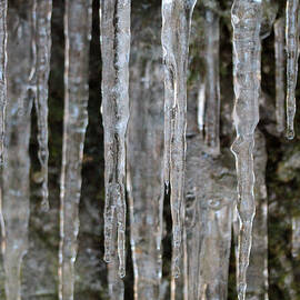 Icicles on a cliff 2 by Dwight Cook