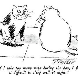 If I Take Too Many Naps During The Day by Mischa Richter