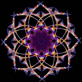 Illuminated by Wendy Wilton