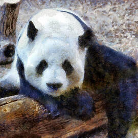 Impressionist Panda by Daniel Eskridge