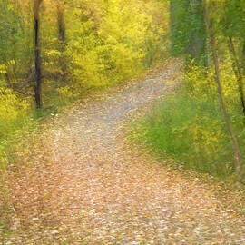 Impressionistic View Of Trees In Autumn by Jaynes Gallery