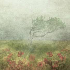 Incomplete Poetry by Delphine Devos