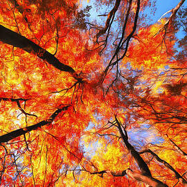 Indian summer digital art red trees in fall by Matthias Hauser