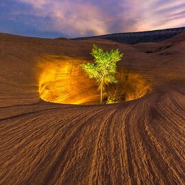 Inner Light by Dustin LeFevre