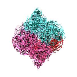 Insulin Molecule by Science Photo Library