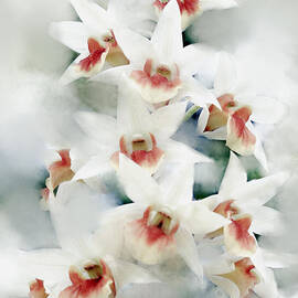 Is There a Heaven for Orchids by Ted Guhl