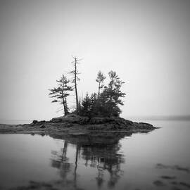 Island by Patrick Downey