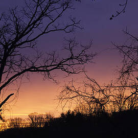 January 2015 Sunrise by Teresa Mucha