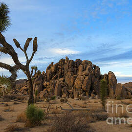 Joshua Tree Cloud Explosion by Michael Dawson