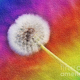 Just Dandy Rainbow 2 by Andee Design