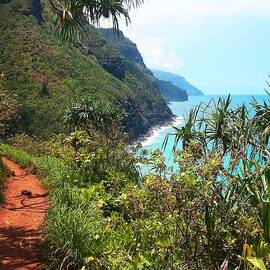 Kalalau Trail, N'pali, Kauai by Joseph J Stevens