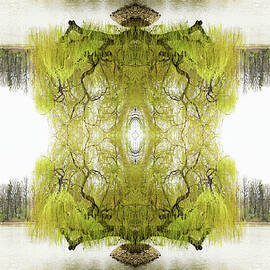 Kaleidoscope Tree On Pond by Silvia Otte