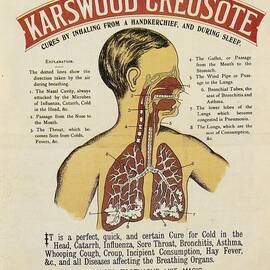 Karswood Creosote Medicine Vintage Ad by Gianfranco Weiss