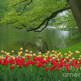 Keukenhof Gardens 84