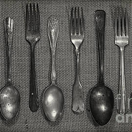 Kitchen Dining Utensils of Silverware and Flatware with Forks Sp by ELITE IMAGE photography By Chad McDermott