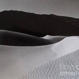 Knabe Sand Dunes