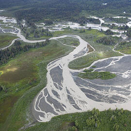 Kwik Stream In Taiga  by Matthias Breiter