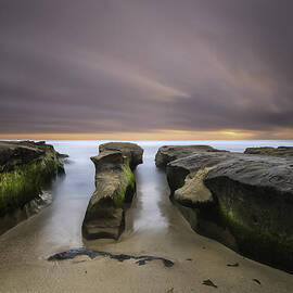 La Jolla Reef by Larry Marshall