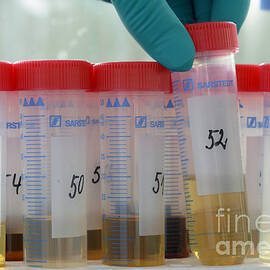 Lab Samples by Sigrid Gombert