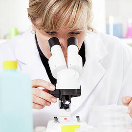 Lab Technician Using A Microscope by Science Photo Library