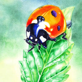 Ladybug Ladybug Where Is Your Home by Irina Sztukowski