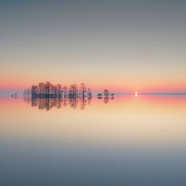 Lake Mattamuskeet Memory by Liyun Yu