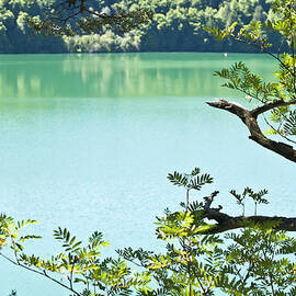 Lake Peaceful by Georgia Clare