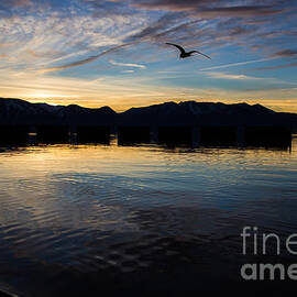Lake Tahoe Sunset by Suzanne Luft