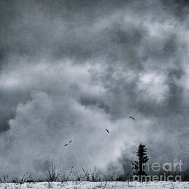 land shapes 5 by Priska Wettstein