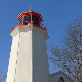 Landlocked Lighthouse