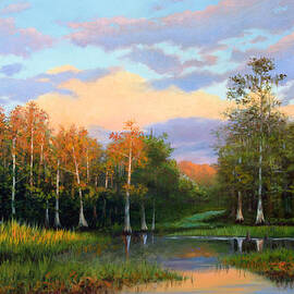Late Afternoon in the Cypress Hammock by Tim Davis