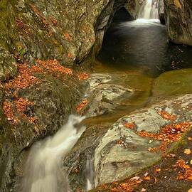 Leaves Around Texas Falls by Adam Jewell