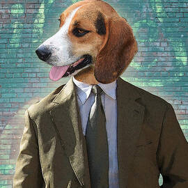 Legal Beagle