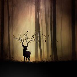 Legendes D'automne by Sebastien Del Grosso