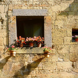 Lets watch the flowers grow.. by A Rey