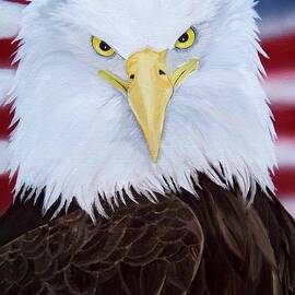 Liberty Eagle
