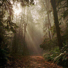 Light At The End Of The Trail by Zeb Andrews