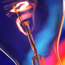 Light Bulb by Science Photo Library