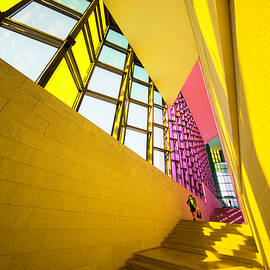 Light by Filipe P Neto