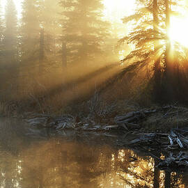Light Rays And Reflections by Yu Liu Photography