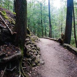 Light the Path by Mike Murdock