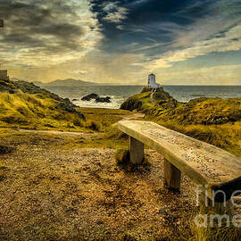 Lighthouse Viewpoint by Adrian Evans