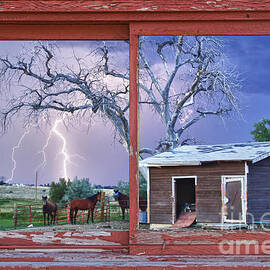 Lightning And Horses Lightning Strikes Red Picture Window Frame  Art by James BO Insogna