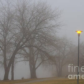 Lights and Fog Setting the Mood by James BO Insogna
