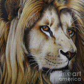 Lion by Jurek Zamoyski