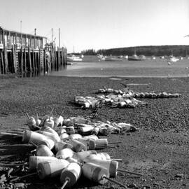 Lobster Buoys 13 by Timothy Bischoff