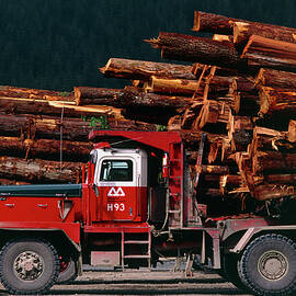 Logging Truck Loaded With Logs by Science Photo Library