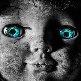 Looking at You Kid by JC Findley